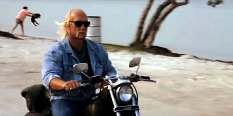 Movie-Background-Jokes-Mr-Nanny-Dog