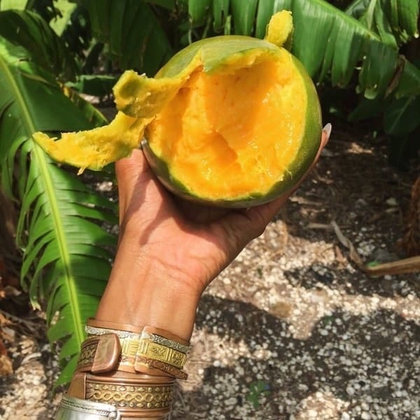 food-crimes-weird-people-eating-strange-habits-eating-disorder-193539