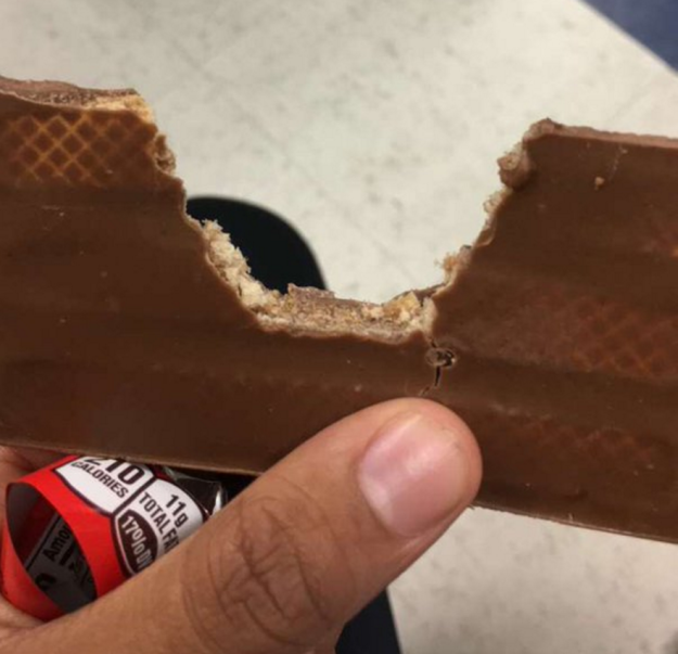 food-crimes-weird-people-eating-strange-habits-eating-disorder-193542